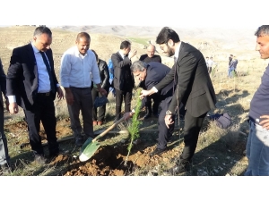 Batman’da ’Her Doğuma Bir Fidan Ormanı’ Oluşturuldu