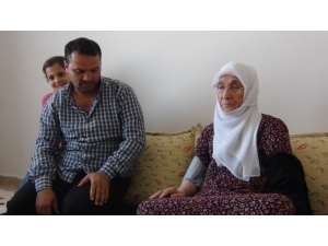 Damat Ve Kaynananın Kanserle Mücadelesi