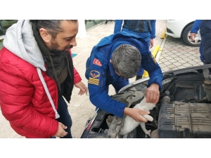 Polis Aracının Radyatörünün Ön Kısmında Mahsur Kalan Kedi Kurtarıldı