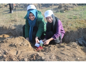 Üzerlerinde İsimleri Bulunan Fidanlarını Toprakla Buluşturdular