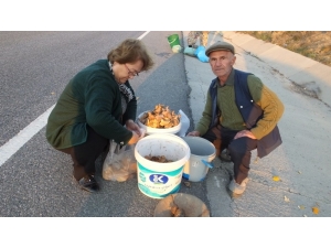 Melki Köylülerin Geçim Kaynağı Oldu