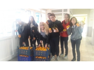 Burhaniye’de Öğrencilere Bedava Mandalina Dağıtıldı