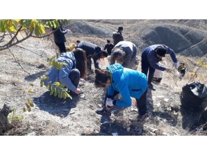 Erzincan’da Öğrencilerden Duyarlılık Örneği