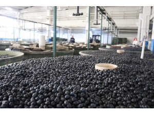 Marmarabirlik’ten 110 Milyon Tl’lik Ödeme