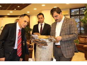 İstiridye Mantarı Satışı İçin Başkan Türkmen’den Yer Talep Ettiler