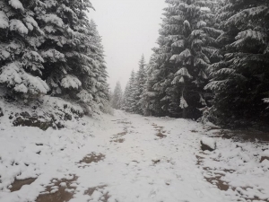 Ordu’nun Yükseklerinde Kar Etkisini Gösteriyor