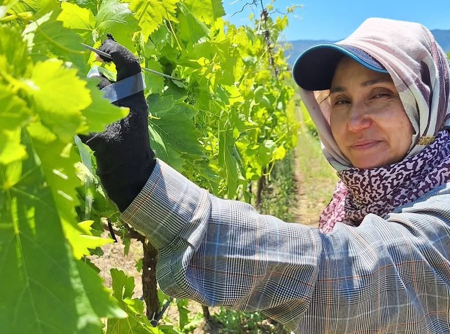 ureticiler-uzum-icin-zamana-karsi-yarisiyor