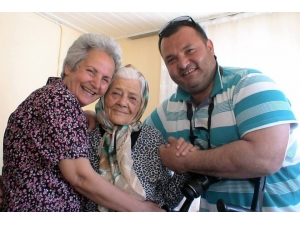 Ayvalık’ta Bir Çınar Daha Devrildi