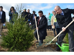 Bozüyük’te 12 Bin Fidan Toprakla Buluştu