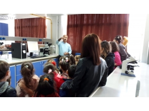 Mikropları Görünce Şaşkına Döndüler