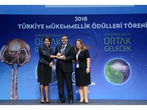 Çedaş’a ’Mükemmellik’ Ödülü