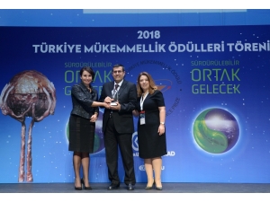 Türkiye Mükemmellik Ödülü Çedaş’ın