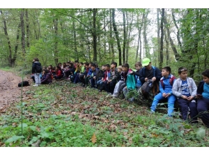 Kocaeli’nin Doğa Kaşifleri Ormanya’da