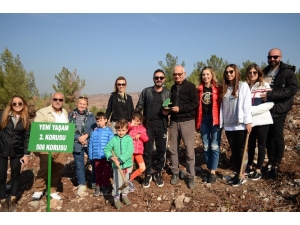 Cerrahtan Yeşil Hareket