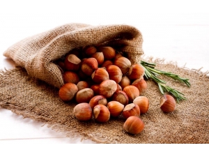 Ekim Ayında Bin 516 Ton İç Fındık İhraç Edildi