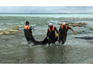Duyarlı Vatandaşın İhbarı, Van Gölü’nü Kurtardı