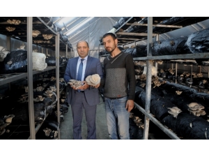 Bafra İşkur’un Verdiği Destekle Hayalleri Gerçeğe Dönüştü