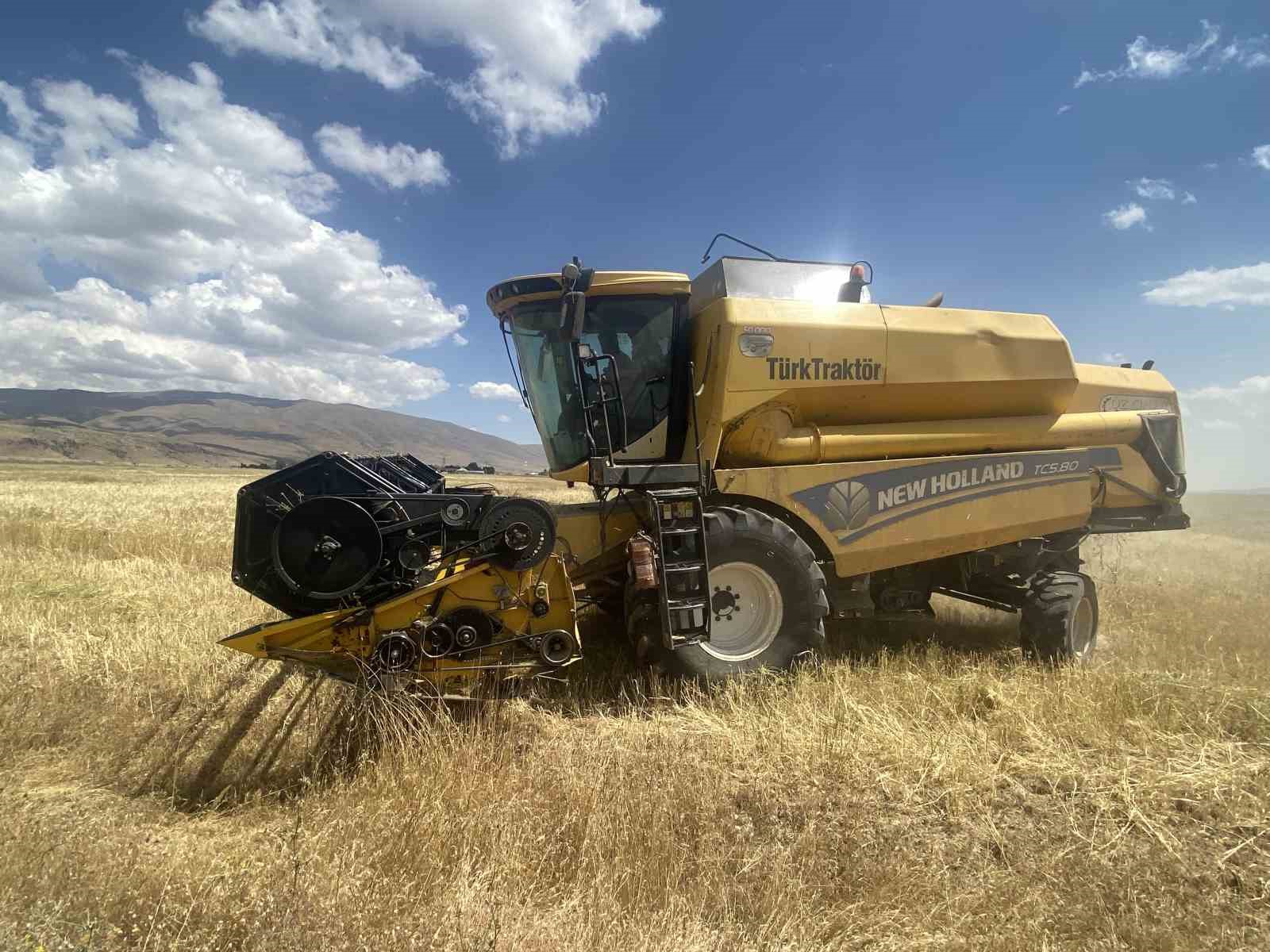 agri-da-bugday-bicme-sezonu-basladi