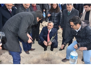 Kırıkkale’ye Lavanta Vadisi