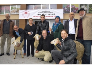 Genç Çiftçiler Hibe Küçükbaş Hayvanlarını Kavuştu
