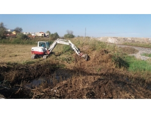 Dere Temizlikleri Devam Ediyor