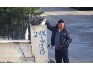 Vatandaşın Kediyle Muhabbeti