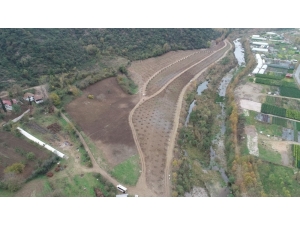 Paşadağ Dolgu Alanı Yeşilleniyor