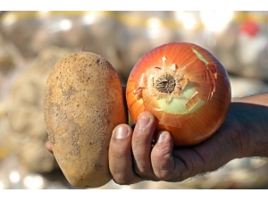 Tüketiciye Patates Ve Soğandan Bir Kötü Haber Daha