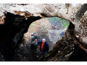 Yıldırım Düştü, Vatandaş Yaktı Ama 700 Yıldır Ayakta Kalmayı Başardı
