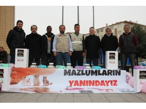 Sokak Hayvanlarının Sesi Oldular