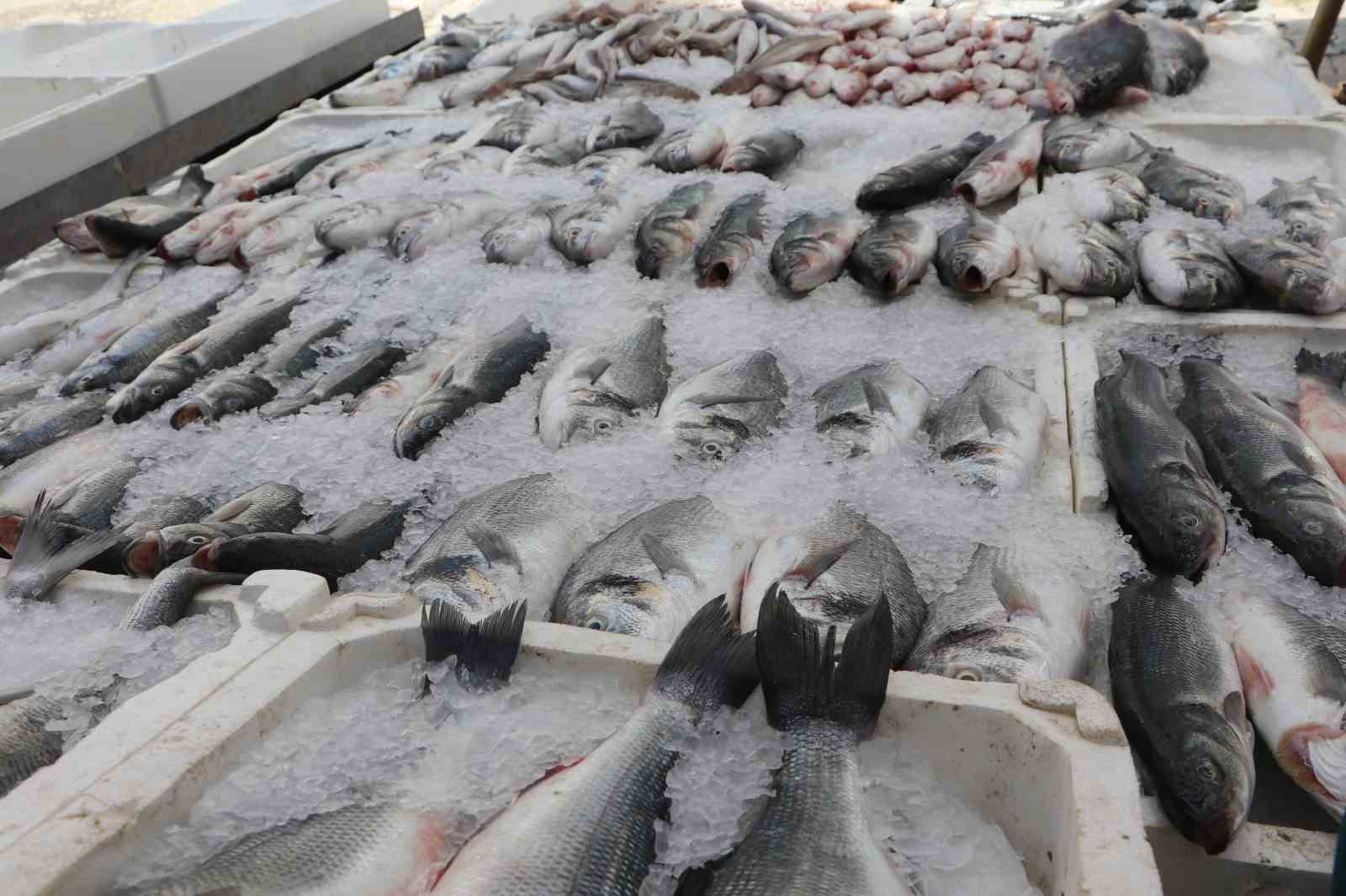 adana-da-sicak-havalar-balik-satislarini-dusurdu