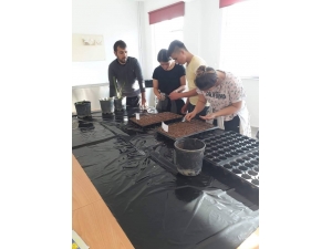 Çavdarhisar’da ’Sebze Fidesi Yetiştirme’ Kursu