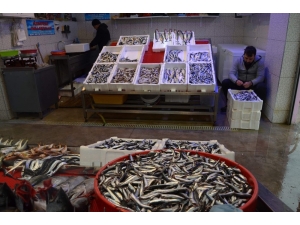 Hamsinin Fiyatı Borsa Gibi Bir İniyor Bir Çıkıyor