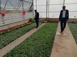 Kilis Çiçek Bahçesi Olacak