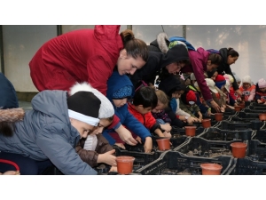 Tohumlar Toprakla Buluştu