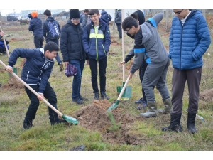 İstanbul’dan Gelip Çerkezköy’de Fidan Diktiler
