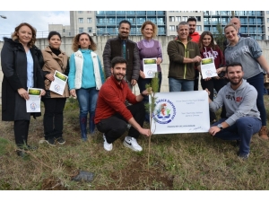 Yeşil Çevre İçin Fidanları Toprakla Buluşturdular
