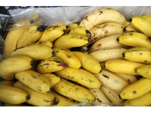 İthal Muz Ve Üretim Arttı, Yerli Muzun Fiyatı Düştü