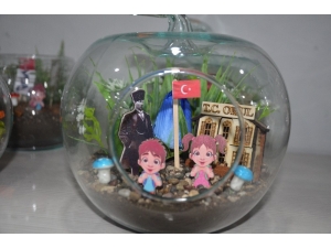 24 Kasım İçin Özel Teraryumlar