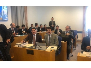 ‘Bu Millet Hep Zirvelerde Olacak’