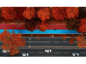 Ordu Sahilinde ‘Sonbahar’ Güzelliği