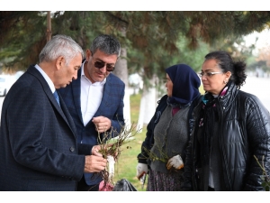 Isparta’ya 2 Yılda 150 Çeşitlik 1 Milyon Gül Dikilecek