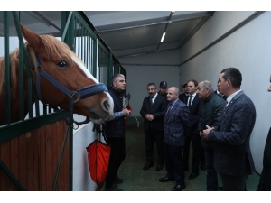 Vali Çakacak Mahmudiye’de İncelemeler Yaptı