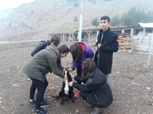 Öğrenciler, Öğretmenleri İçin Fidan Dikti