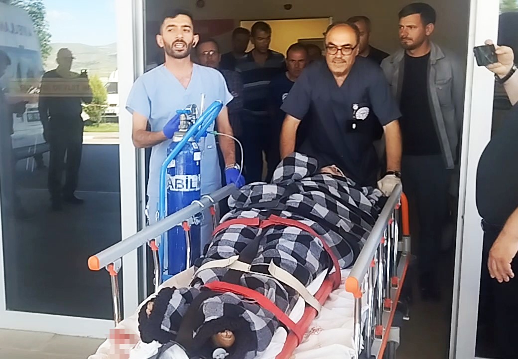 hayvanlarini-otlatirken-ayi-saldirisina-ugradi-kangallar-imdadina-yetisti