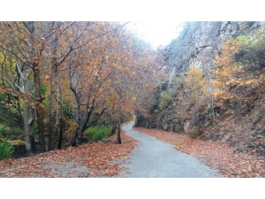 Kahramanmaraş’ta Kartpostallık Sonbahar