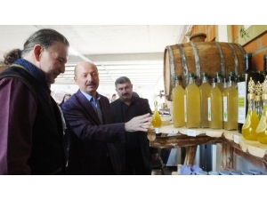 Burhaniye’de Sebze Ve Meyveden Sonra Zeytinyağı Da Organik Oldu