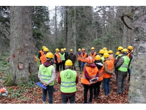 Düzce’de 2019 Yılı Üretim Ve Standardizasyon Tatbikatı Yapıldı