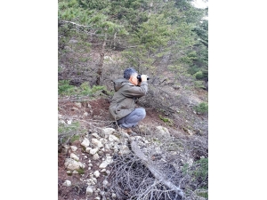 Kaçak Avcılara Ceza