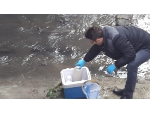 Çorlu Deresi’nden Alınan Numune İnceleniyor